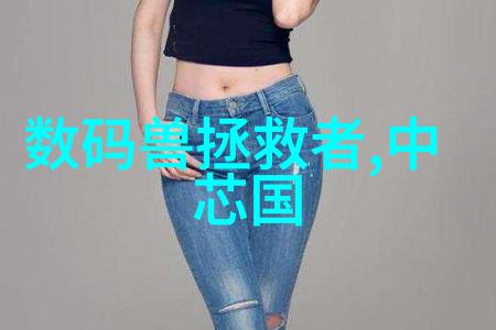 中国专利局官方网查询我是如何在一小时内找到所有相关专利的秘密技巧