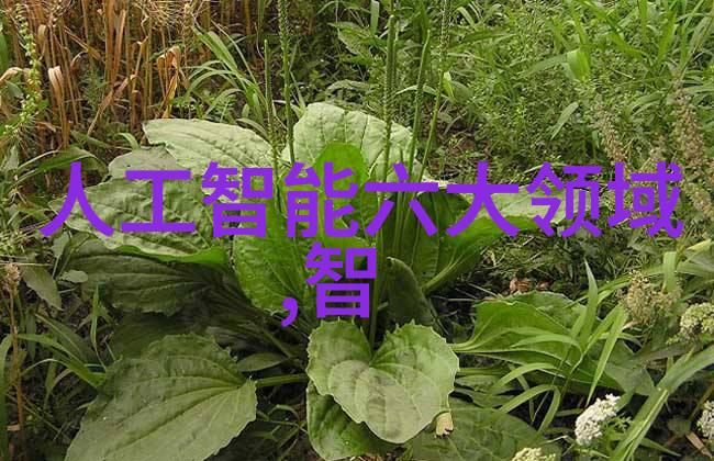视觉盛宴无限延伸电影和剧集在虚拟现实下的演变