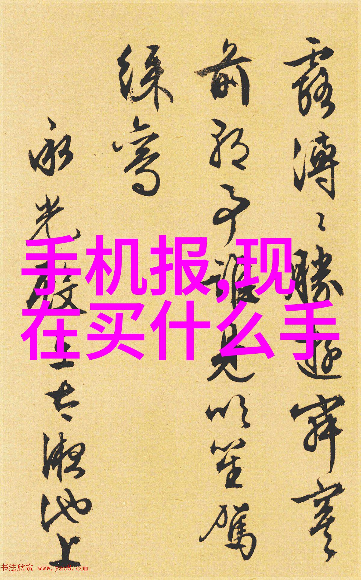 探索共鸣人与畜禽共性的视频录制