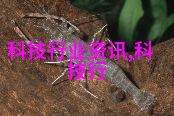 北森人才测评体系揭秘卓越潜能的科学范式
