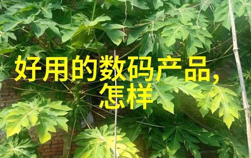 上海财经大学浙江学院的学术探索与创新实践