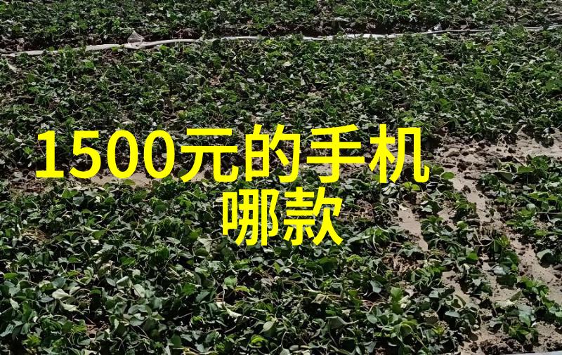 制造信息系统数字化工厂的智慧之心