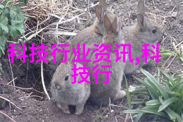 九艺装饰如何营造和谐人体工学环境