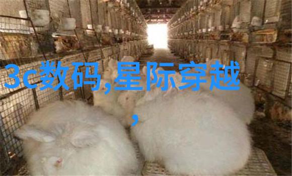 超声波杀菌设备-清洁无界超声波技术在医疗消毒中的应用与展望