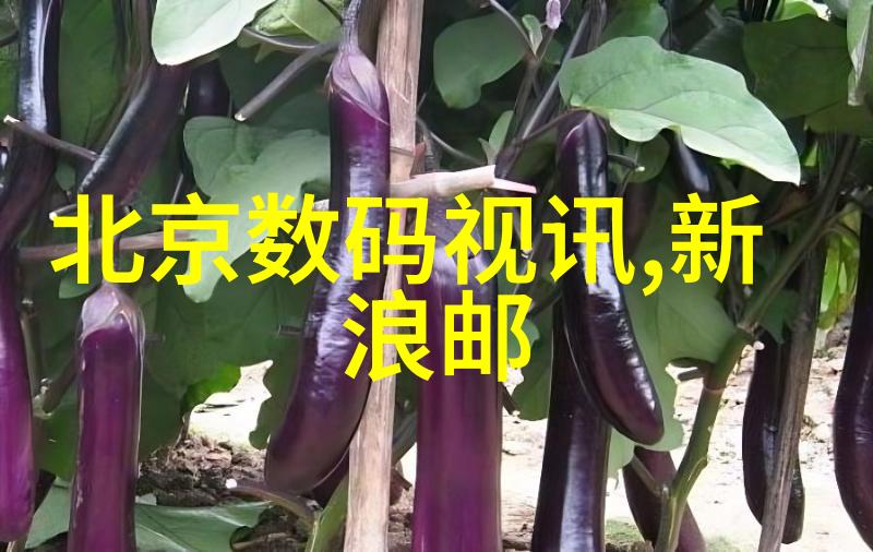 316不锈钢长期使用隐患与健康风险探究