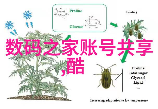 采用PE 100 level PVC pipes for a sustainable future