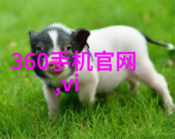 研究报告撰写技巧高效的研究报告编写方法