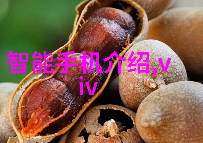 电磁炉的安全操作与维护