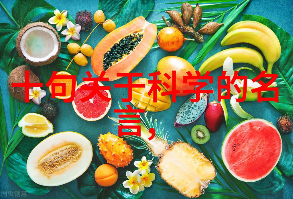 探索未来云南财经职业学院经济法专业开启新篇章
