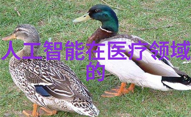 智能化革新下的包装质量保障系统