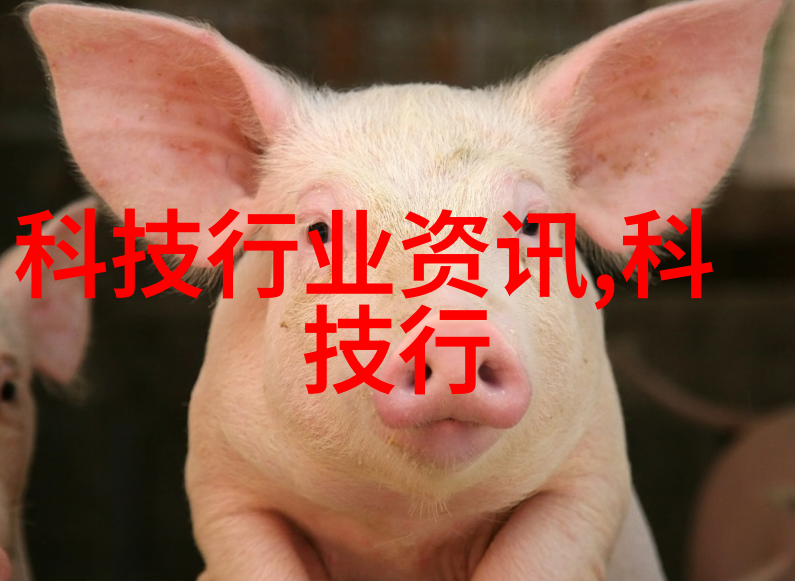 述职报告部队士官我这份工作汇报你得听仔细了