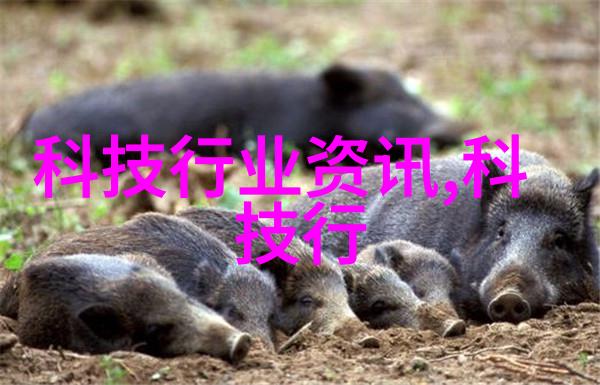 撰写报告书的艺术让数据说话