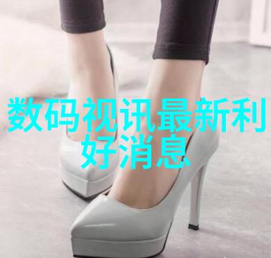 dn50金属环矩鞍填料高效过滤系统的关键组成部分
