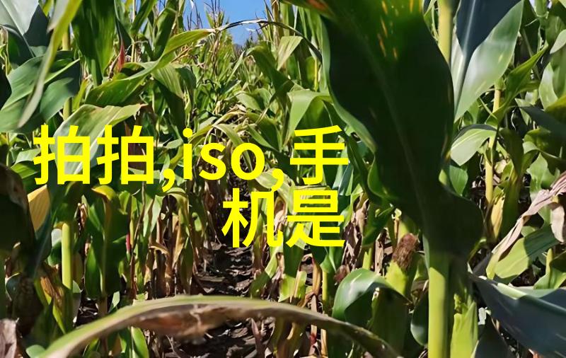 智能装备技术革新未来战场的高科技指挥者