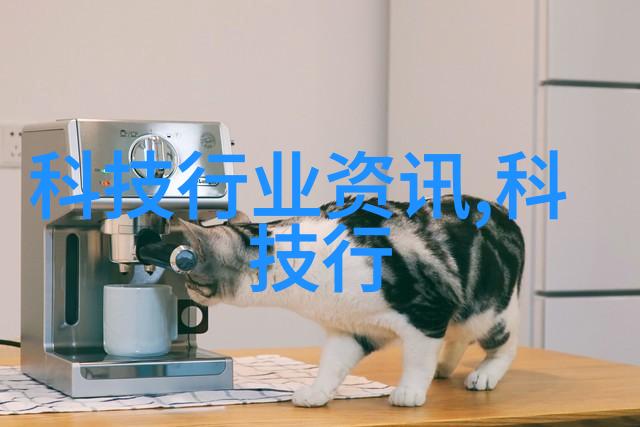 追溯麻豆精品一二三区的故事与传奇