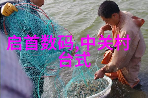 南京财经大学金钱的殿堂与学子的梦想交响曲