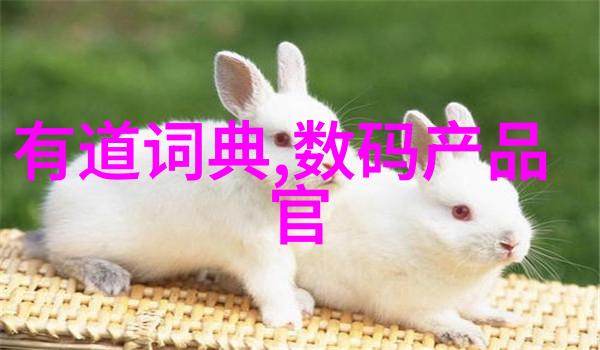 tds水质检测笔有用吗 - 清澈之谜探索tds水质检测笔的实用性