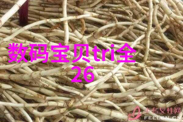 如何识破水源的秘密揭开个人检测水质的神奇之谜