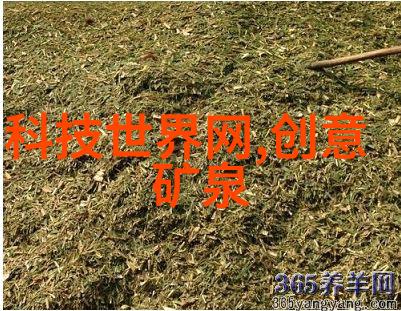 智能化新纪元探索2023年前沿科技的无限可能