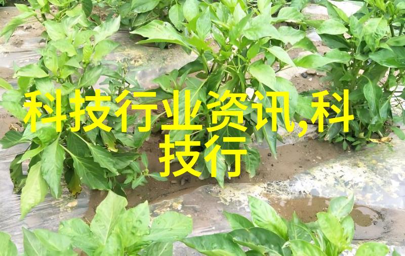 超声波清洗与高压蒸汽灭菌锅的选择与操作指南