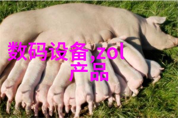 工业用天然气燃烧机效率与环保的双重驱动力