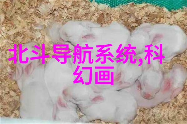 废旧车辆的新篇章拆解厂的旋律