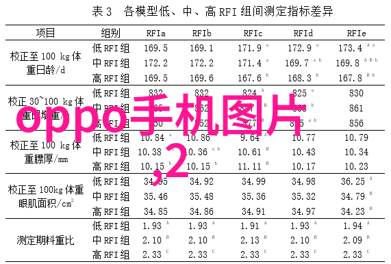 家庭聚会狂欢父母儿子共同的快乐时光