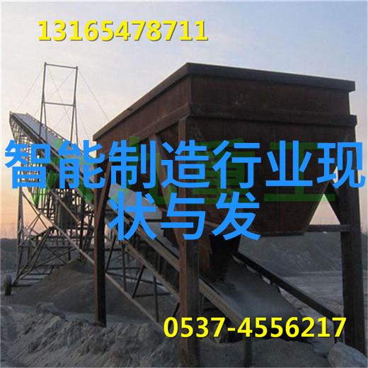 机器的觉醒人工智能将彻底重塑工作世界吗