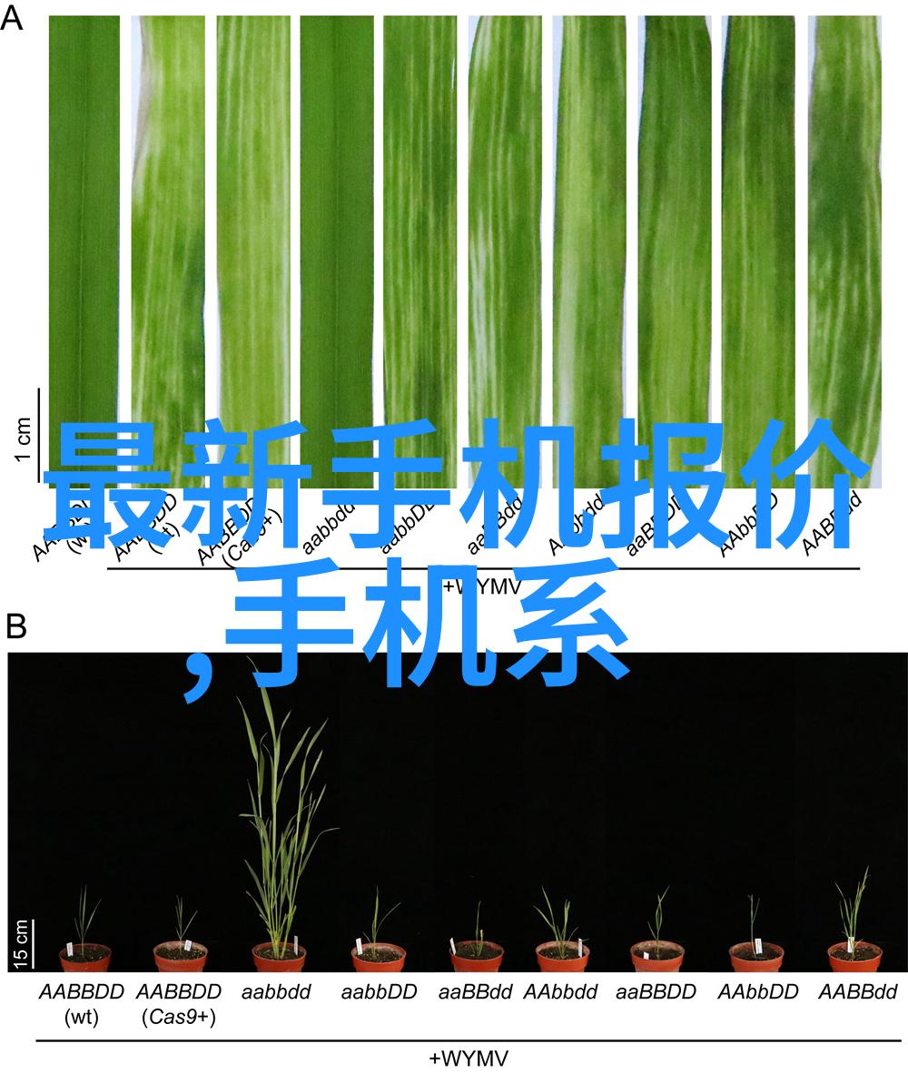 沥青搅拌设备我来告诉你如何挑选一台靠谱的