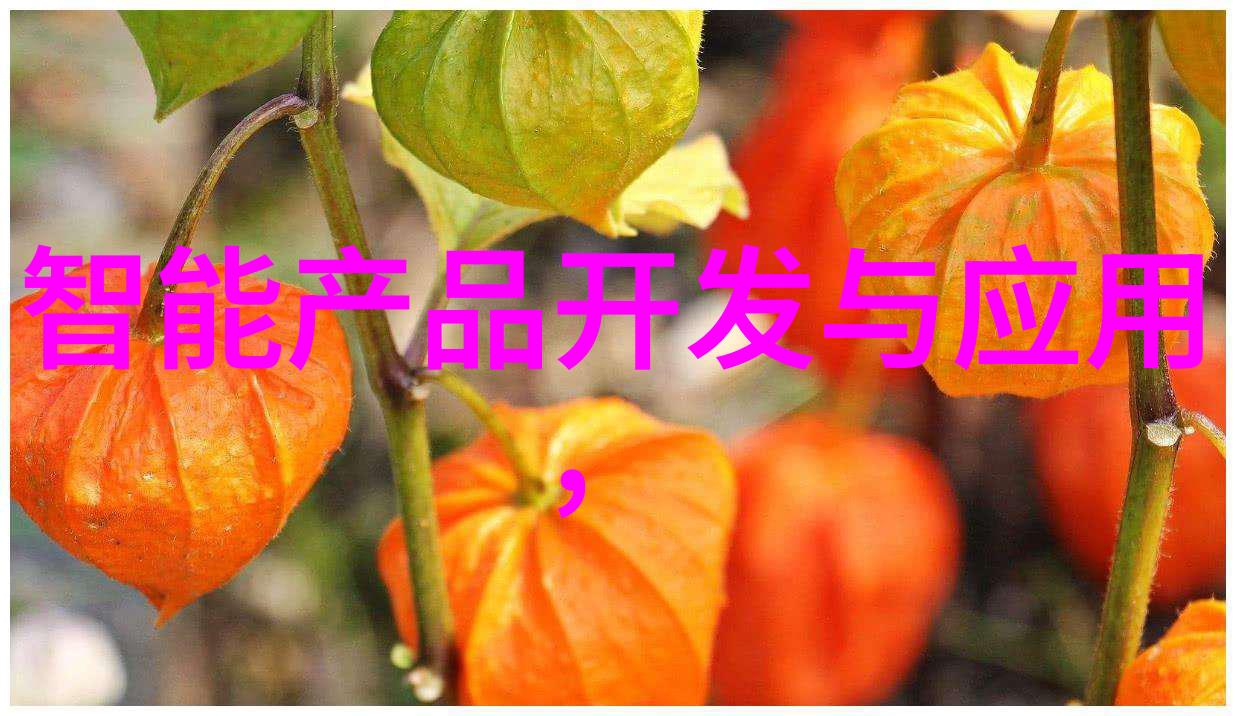 全自动导热油电加热器-智能温控效率双增家用烹饪新宠