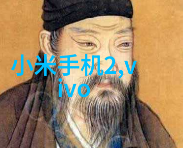 我在神雕修仙的小说掠影入云郭靖与黄蓉的江湖传说