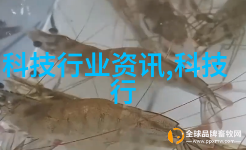全程不盖被子打扑克视频大全