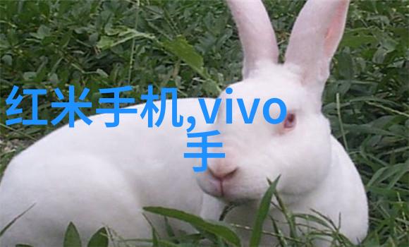 互联网时代下郑州地区如何利用数字化手段提升其不锈钢制造业竞争力