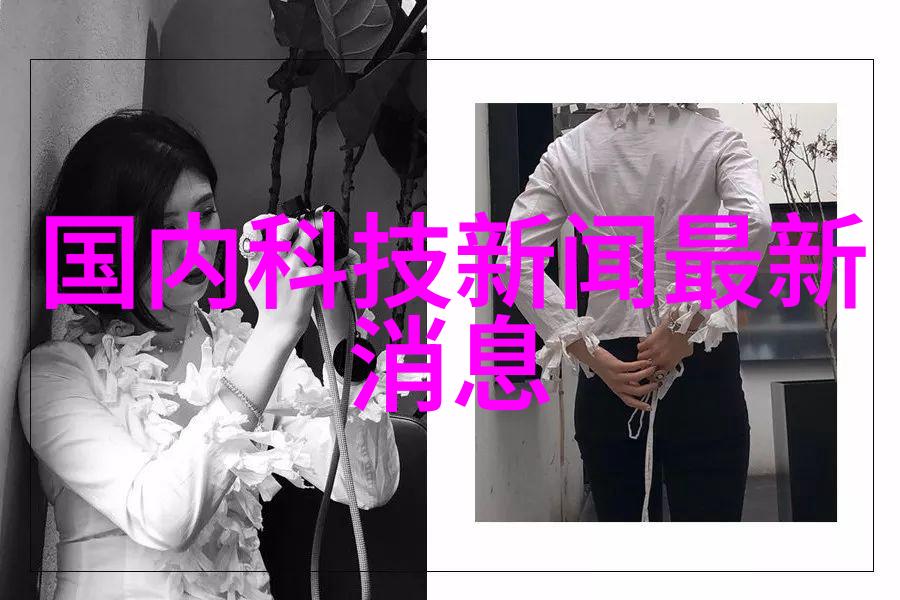 中国装修网家居美学的智慧指南
