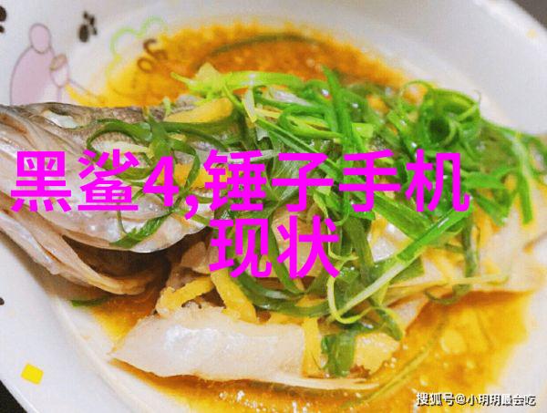 主题我在附近的不锈钢制作加工厂发现了一个令人惊叹的工艺创新