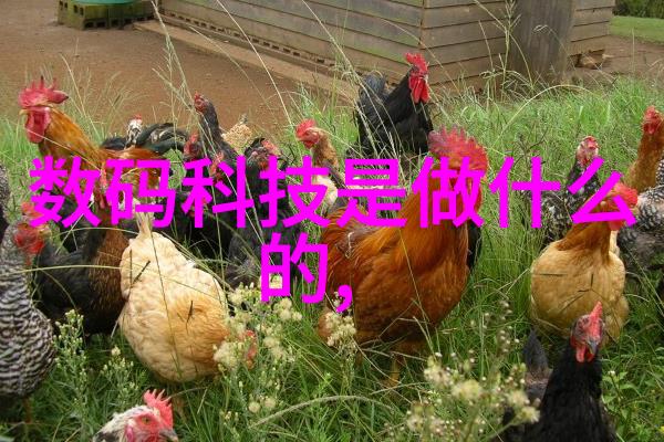 郑州不锈钢制品数据驱动员工换衣间多门衣柜定做解决方案