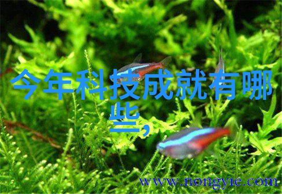 电磁波的舞蹈振动电机的奇妙世界