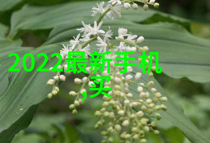 神话重启我在无限游戏里寻找封神之路