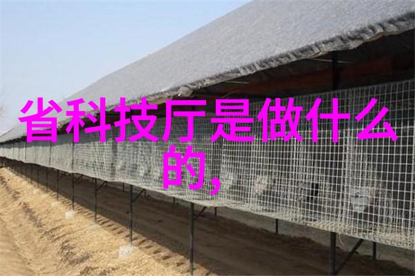 初中毕业学什么技术比较有前途未来就业的热门技能解析