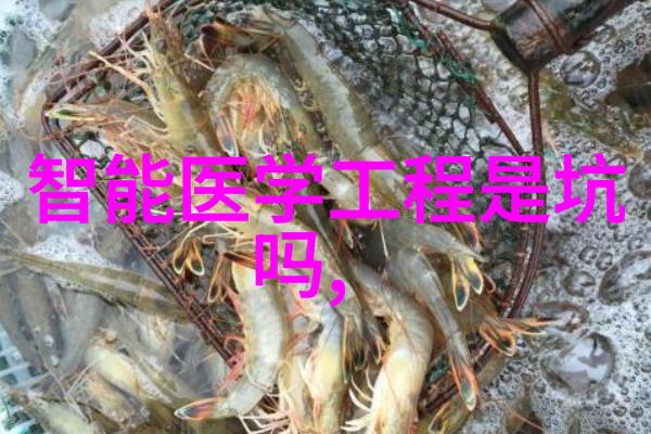 智能交通系统未来道路的安全守护者