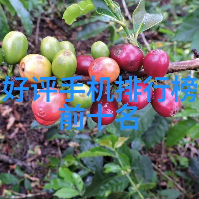 化工灌装机械的未来趋势与发展方向