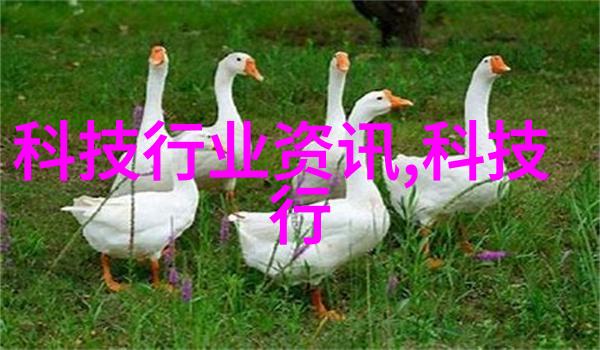 织网阻力细丝的隐秘抗争