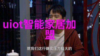 皮带输送机工业物流的高效传送伙伴