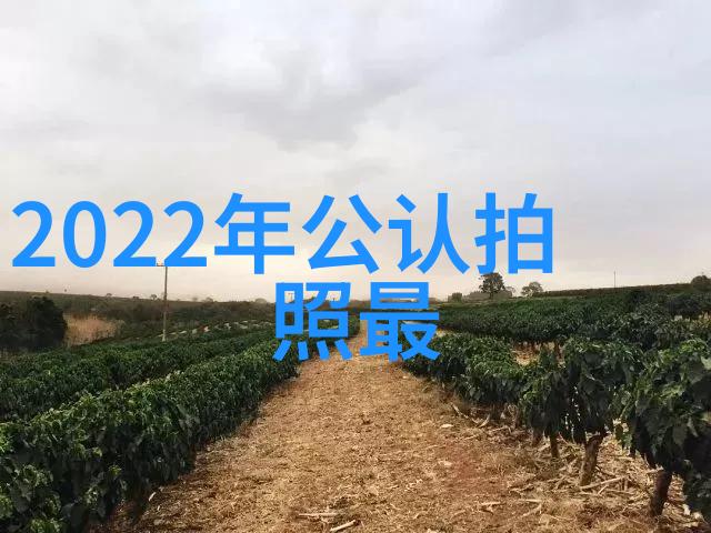 邻近不锈钢板材加工厂的故事