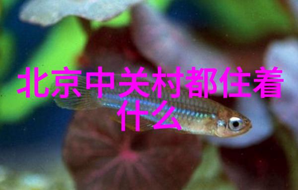 全国水质查询系统官网-探索清澈源头全国水质查询系统的功能与意义