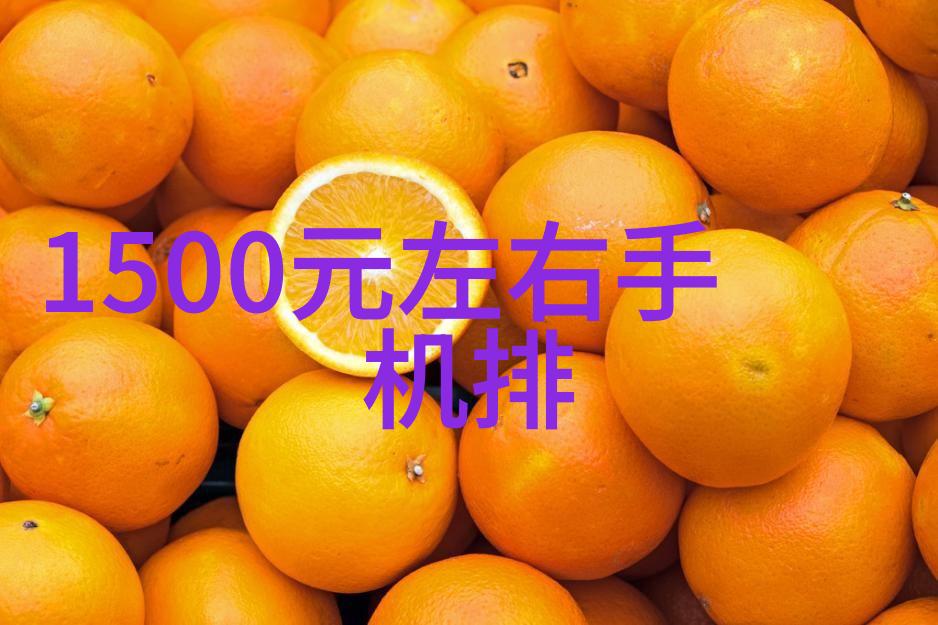 黑龙江财经学院国际化进程开放视野共享知识