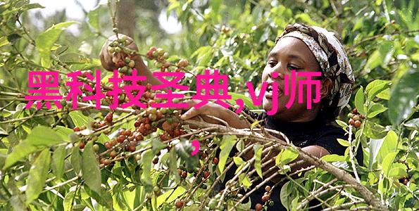 金属深处的守护者镀锌管型号规格表中的秘密