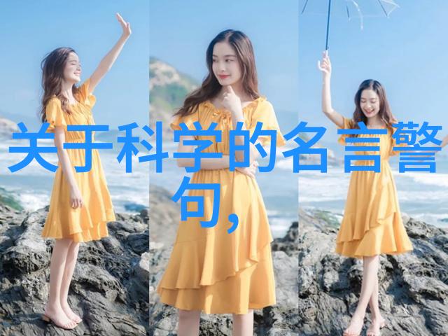 月光下的回顾轻盈的总结之旅