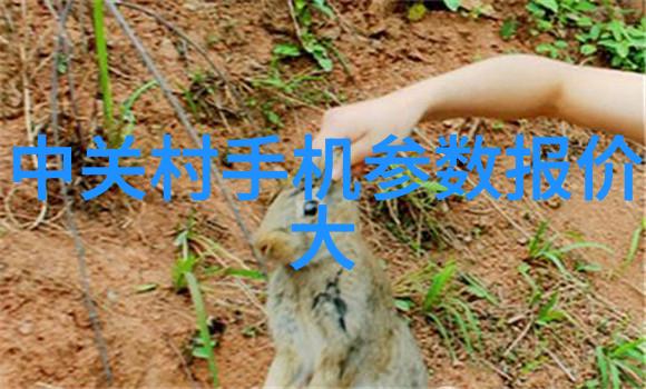 旋振筛设备高效旋转筛分器