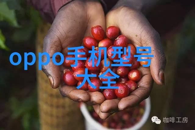 片剂机械精细操作揭秘药品生产中的关键设备与技术